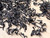 Supreme Anji Hong Anji Black Tea