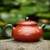 Handmade Yixing Zisha Clay Teapot Dragonfly 200ml
