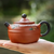 Handmade Yixing Zisha Clay Teapot Line Round Dragonfly 210ml