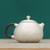 Handmade Pure Silver Teapot Shi Wen Xi Shi 150ml