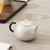 Handmade Pure Silver Teapot Shi Wen Xi Shi 150ml