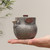 Handmade Pure Silver Teapot Ji Xu 185ml