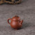 Handmade Yixing Zisha Clay Teapot Yang Zhuo 150ml