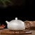 Handmade Pure Silver Teapot Chui Wen Bian Xi Shi 370ml