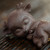 Handmade Yixing Zisha Clay Tea Pet Plum Bossom Deer