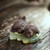 Handmade Yixing Zisha Clay Tea Pet Plum Bossom Deer