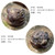 Handmade Yixing Zisha Clay Tea Pet Miao Jin Pi Xiu
