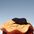 Handmade Yixing Zisha Clay Tea Pet Duan Ni Shu Lai Bao