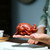 Handmade Yixing Zisha Clay Tea Pet Feng Feng Huo Huo