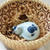 Ke Ai Xiao Mao Porcelain Tea Pet Table Decoration Ornament