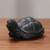 Zhen Zhai Long Gui Stone Tea Pet Table Decoration Ornament