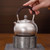 Handmade Pure Silver Teapot You Xian Shan Jing 288ml