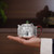 Handmade Pure Silver Teapot Wa Luo He Ye 298ml