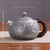Handmade Pure Silver Teapot Hua Si Xi Shi 228ml