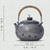 Handmade Pure Silver Kettle Xing Qiu Zhi Lv 900ml