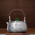 Handmade Pure Silver Kettle Jin Shi Si Zhu