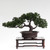 Handmade Ming Shi Red Wood Carving Table Top Stand Display Base