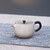 Handmade Pure Silver Teapot Ya Ji Huang Wen 100ml