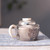 Handmade Pure Silver Teapot Tie Mian Ji Yu 120ml