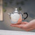 Handmade Pure Silver Teapot Chui Wen Duo Zhi 200ml