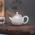 Handmade Pure Silver Teapot Jiang Shan Lou Ge 220ml