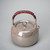 Handmade Pure Silver Kettle Zi Pi Cun Jing Xiang 1000ml