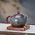 Handmade Pure Silver Teapot Rou Lan Multicolor 150ml
