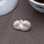 Handmade Pure Silver Tea Pet Ling Zhi