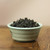 Gold Award Competition Grade Taiwan Muzha Tieguanyin Oolong Tea 300g