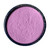 Organic Blueberry Extract Powder 20:1
