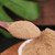 Duckweed Extract Powder 20:1
