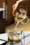 Bamboo Shadow Tea Poem Double-Layer Glass Gaiwan 120ml
