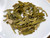 Golden Noon Jasmine Odyssey Green Tea Bloom
