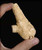 Yunnan Plateau Selected Multi-Year American Ginseng Short Cuts Root Tips 250g