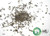 Silver Award Competition Grade Wen Shan Bao Zhong Oolong