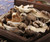 Premium Dried Oyster Mushrooms