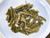 Deep Reverie Jasmine Odyssey Green Tea Soul