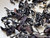 Yunnan Zi Juan Purple Tea Cultivar Oriental Beauty Oolong Tea