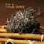 CHENSHENGHAO Brand Malipo Big Tree Pu-erh Tea Cake 2026 357g Raw