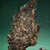 CHENSHENGHAO Brand Zhang Jia San Dui Pu-erh Tea Cake 2025 357g Raw