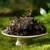 CHENSHENGHAO Brand Wan Wu Xing Pu-erh Tea Cake 2025 357g Raw