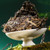 CHENSHENGHAO Brand Yu Xiang Pu-erh Tea Cake 2025 357g Raw