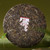 CHENSHENGHAO Brand Chen Sheng Jiang Xin Pu-erh Tea Cake 2024 357g Raw