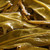 CHENSHENGHAO Brand Gu Xiang Jin Yun Pu-erh Tea Cake 2023 357g Raw