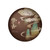 TAETEA Brand Qing Xiang Pu-erh Tea Cake 2019 357g Ripe