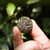 XIAGUAN Brand Gui Zhen Long Zhu Pu-erh Tea Tuo 2025 96g Raw