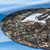 XIAGUAN Brand Mi Jing Gu Yun Pu-erh Tea Cake 2023 357g Raw