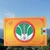 XIAGUAN Brand Jing Pin Xiao Bai Cai Pu-erh Tea Brick 2022 250g Raw