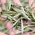 Organic Bai Hao Yin Zhen King Silver Needle White Tea