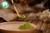 Japanese Matcha Set * Chasen Scoop & Matcha